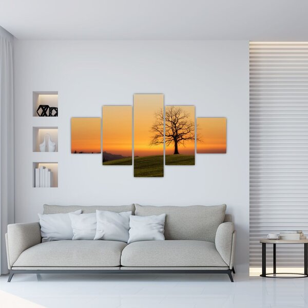 Obraz zachodu słońca na łące (125x70 cm)