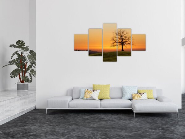 Obraz zachodu słońca na łące (125x70 cm)