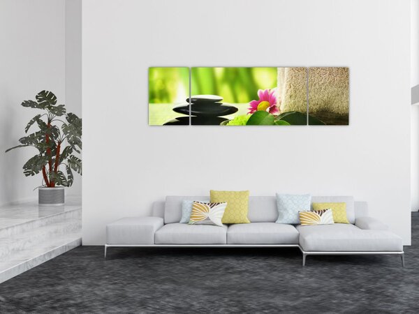 Obraz narzędzi do masażu (170x50 cm)
