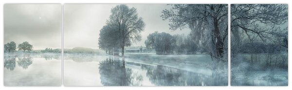 Obraz zimowej natury (170x50 cm)
