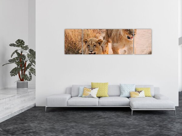 Obraz lwiątek (170x50 cm)