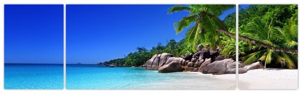 Obraz plaży na wyspie Praslin (170x50 cm)