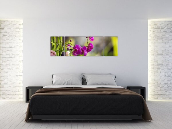 Obraz - spa and stones (170x50 cm)