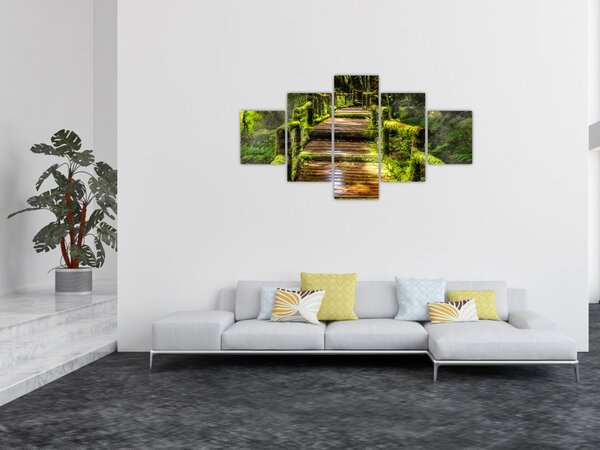 Obraz schodów w deszczowym pralesie (125x70 cm)