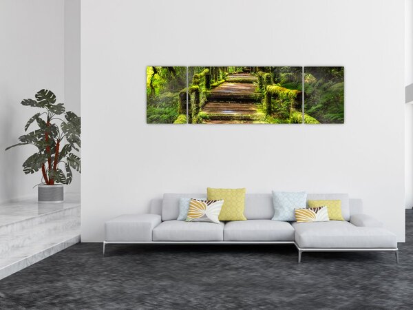 Obraz schodów w deszczowym pralesie (170x50 cm)