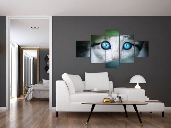 Obraz kota (125x70 cm)