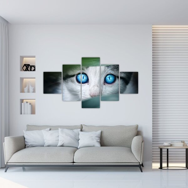 Obraz kota (125x70 cm)
