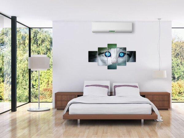 Obraz kota (125x70 cm)