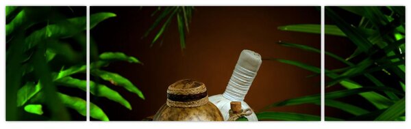 Obraz rzeczy spa (170x50 cm)