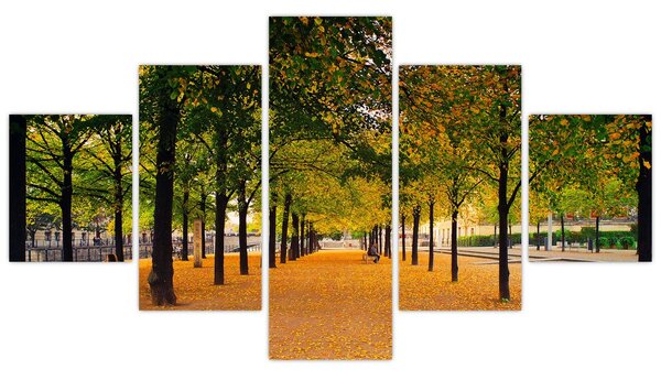Obraz alei jesiennych drzew (125x70 cm)