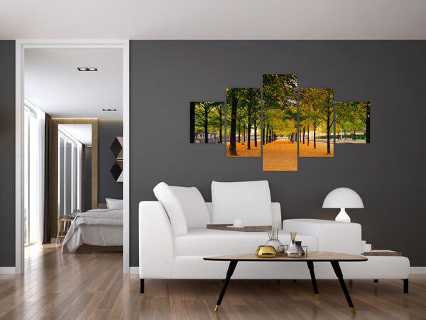 Obraz alei jesiennych drzew (125x70 cm)