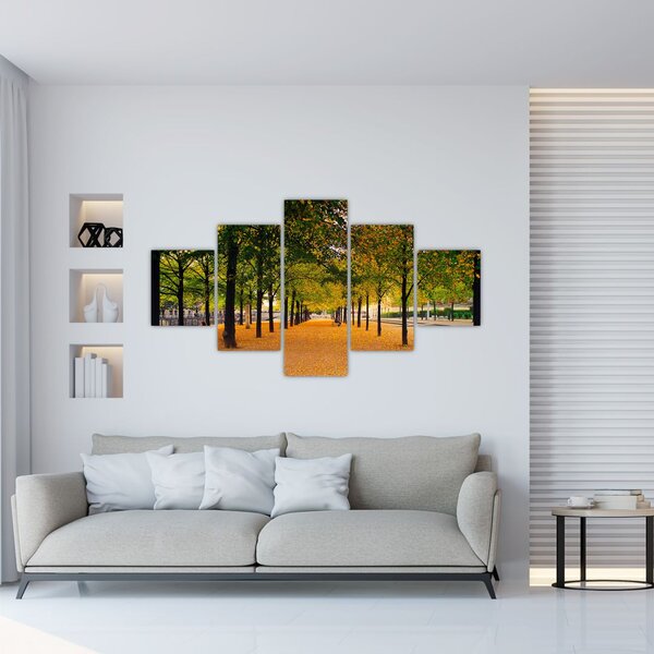 Obraz alei jesiennych drzew (125x70 cm)