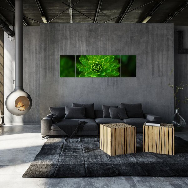 Obraz drzewa iglastego (170x50 cm)