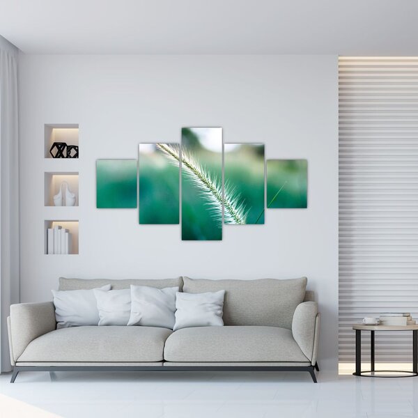 Obraz źdźbła trawy (125x70 cm)