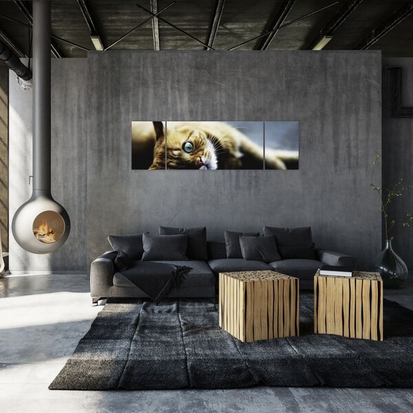 Obraz kota (170x50 cm)
