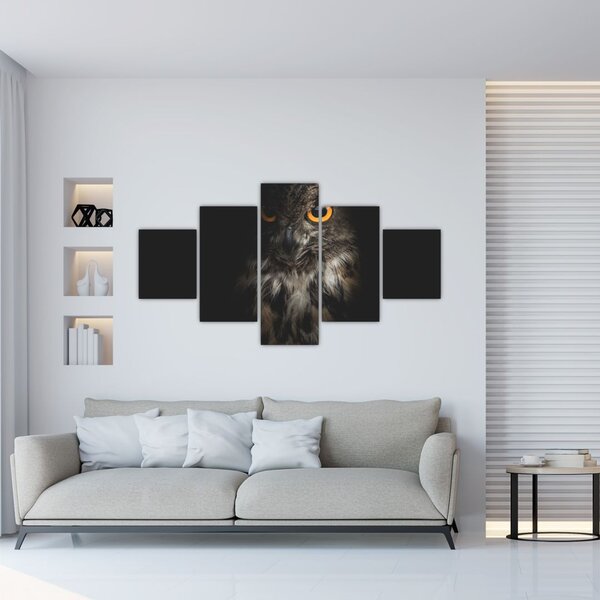 Obraz sowy (125x70 cm)