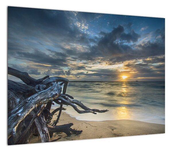 Obraz morza o zachodzie słońca (70x50 cm)