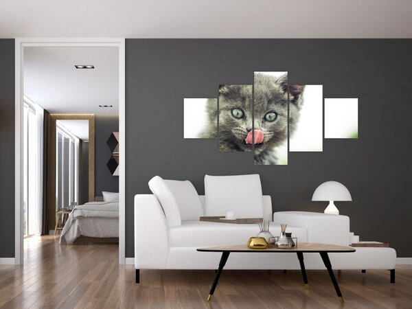 Obraz oblizującego się kotka (125x70 cm)