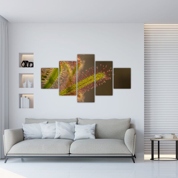 Obraz rośliny (125x70 cm)