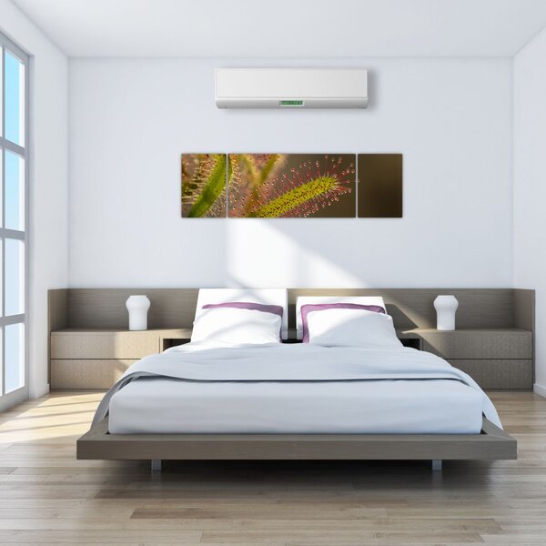 Obraz rośliny (170x50 cm)