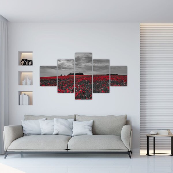 Obraz maków (125x70 cm)