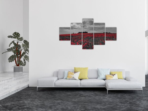 Obraz maków (125x70 cm)