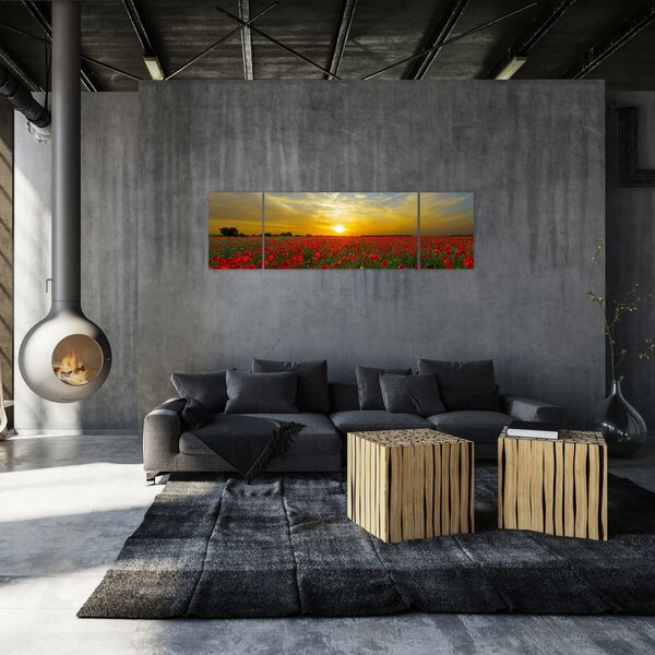 Obraz pola maków (170x50 cm)