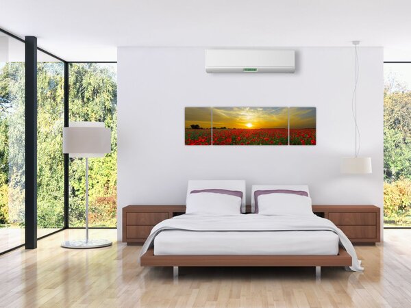 Obraz pola maków (170x50 cm)