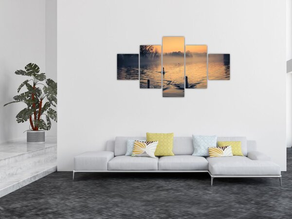 Obraz łabędzi na wodzie we mgle (125x70 cm)
