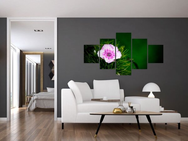Obraz kwiatu róży (125x70 cm)