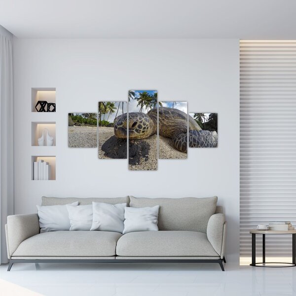 Obraz żółwia (125x70 cm)