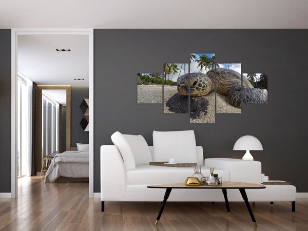 Obraz żółwia (125x70 cm)