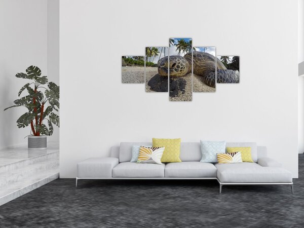 Obraz żółwia (125x70 cm)