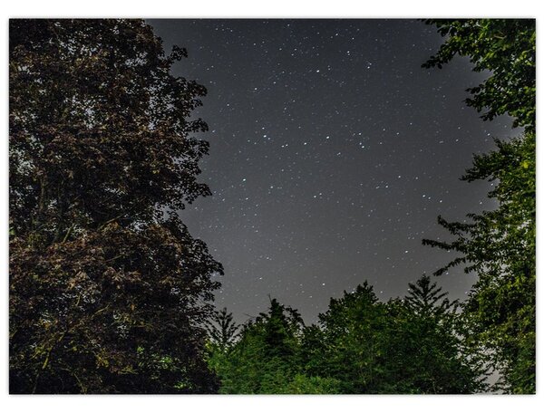 Obraz nocnego nieba (70x50 cm)