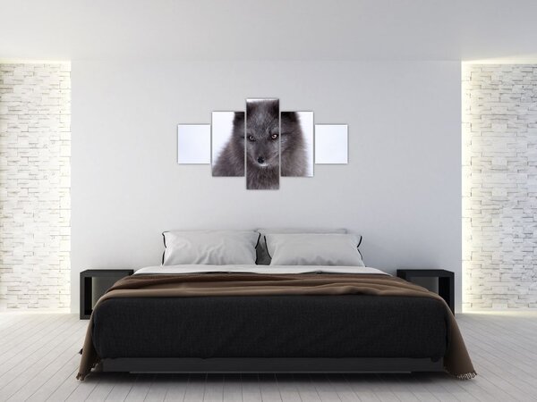 Obraz lisa śnieżnego (125x70 cm)