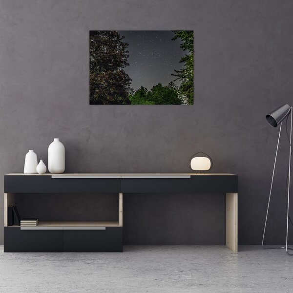 Obraz nocnego nieba (70x50 cm)