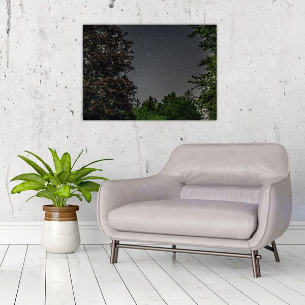 Obraz nocnego nieba (70x50 cm)