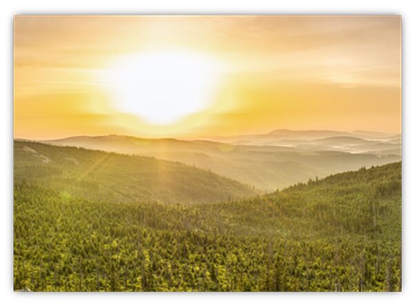 Obraz panoramiczny (70x50 cm)