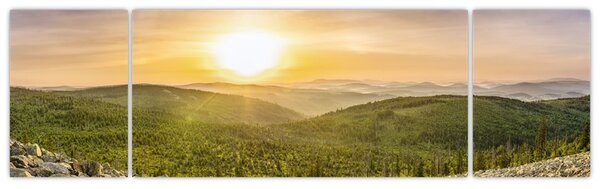 Obraz panoramiczny (170x50 cm)