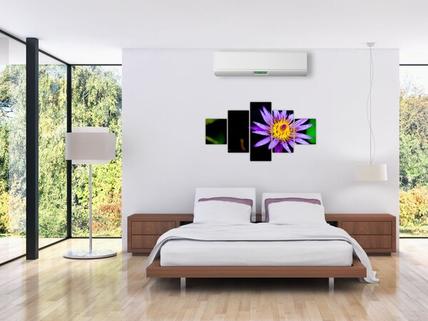 Obraz kwiatu (125x70 cm)