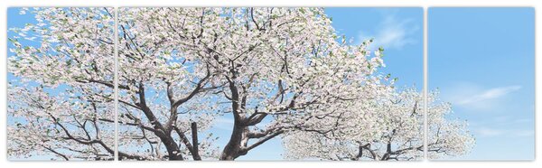 Obraz drzew (170x50 cm)