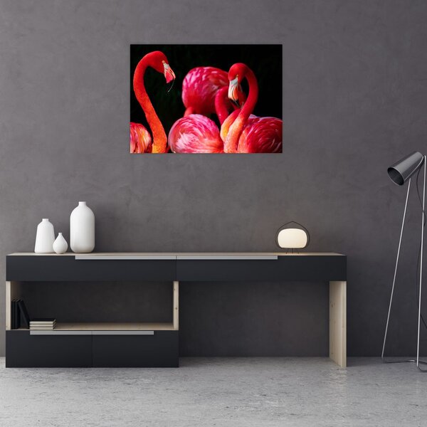 Obraz czerwonych flamingów (70x50 cm)