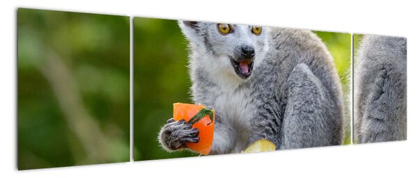 Obraz lemura (170x50 cm)
