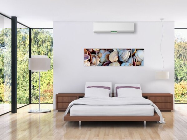 Obraz muszelek (170x50 cm)