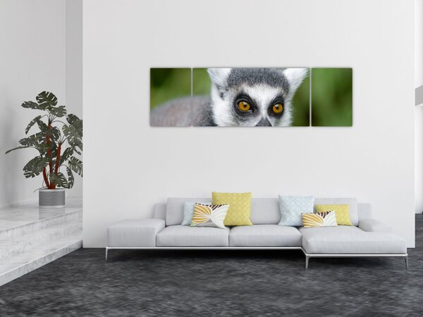 Obraz lemura (170x50 cm)