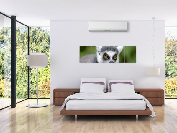 Obraz lemura (170x50 cm)