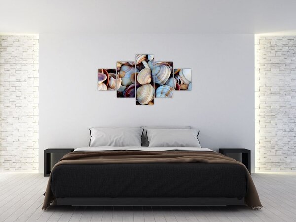 Obraz muszelek (125x70 cm)