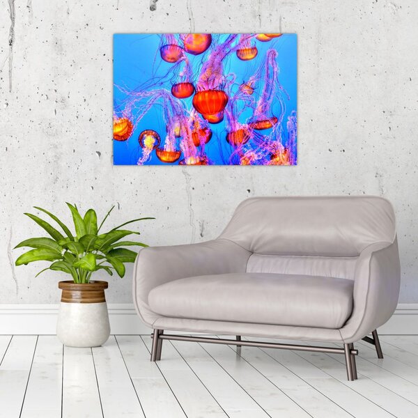 Obraz meduz w morzu (70x50 cm)