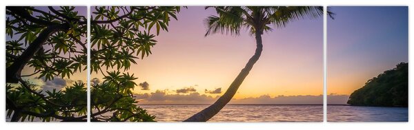Obraz palmy na plaży (170x50 cm)