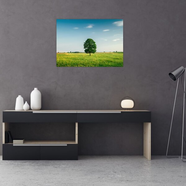 Obraz drzewa na łące (70x50 cm)